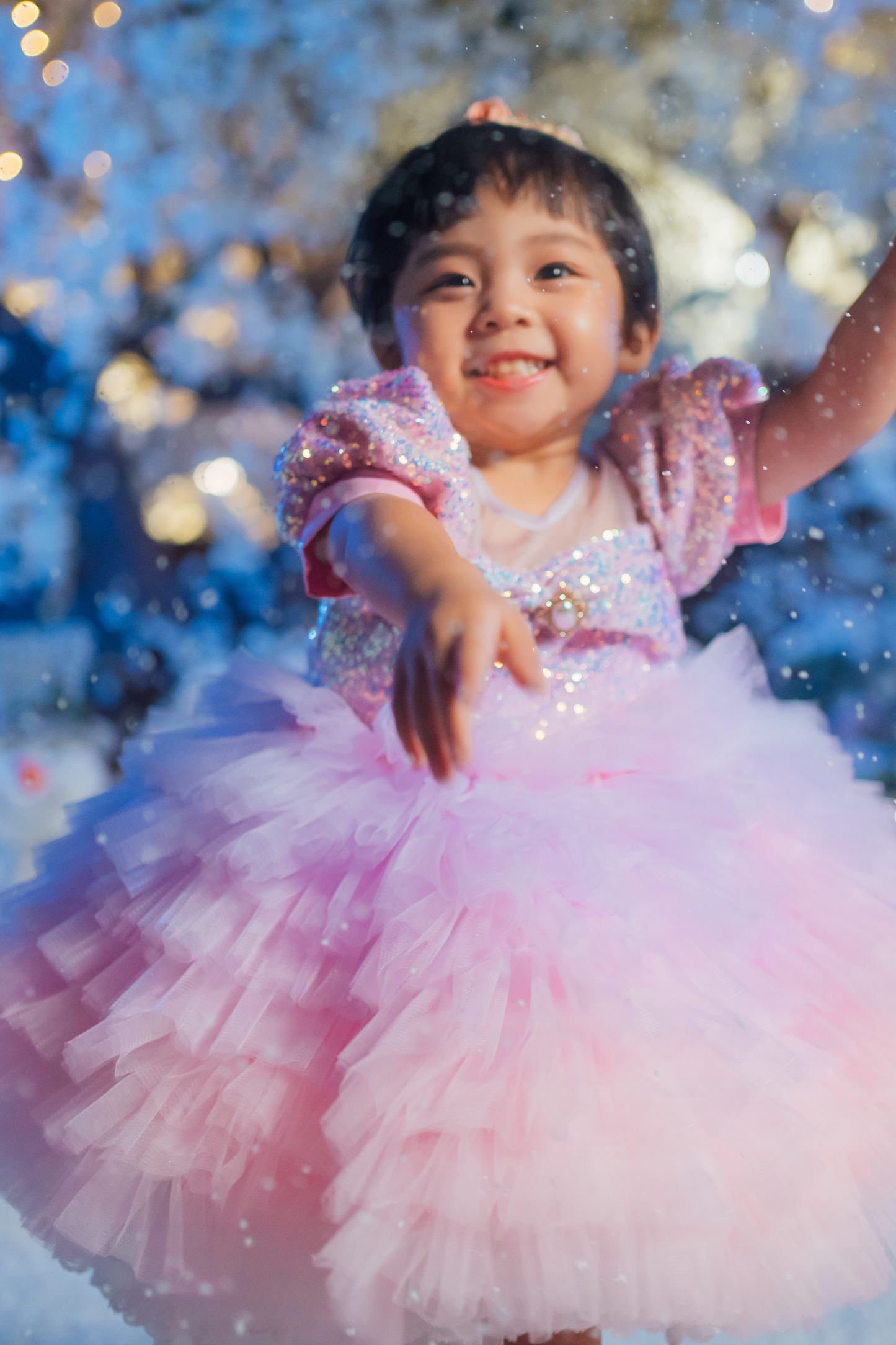 Lilac & Pink Sugar Plum Fairy Ombre Tulle Dress