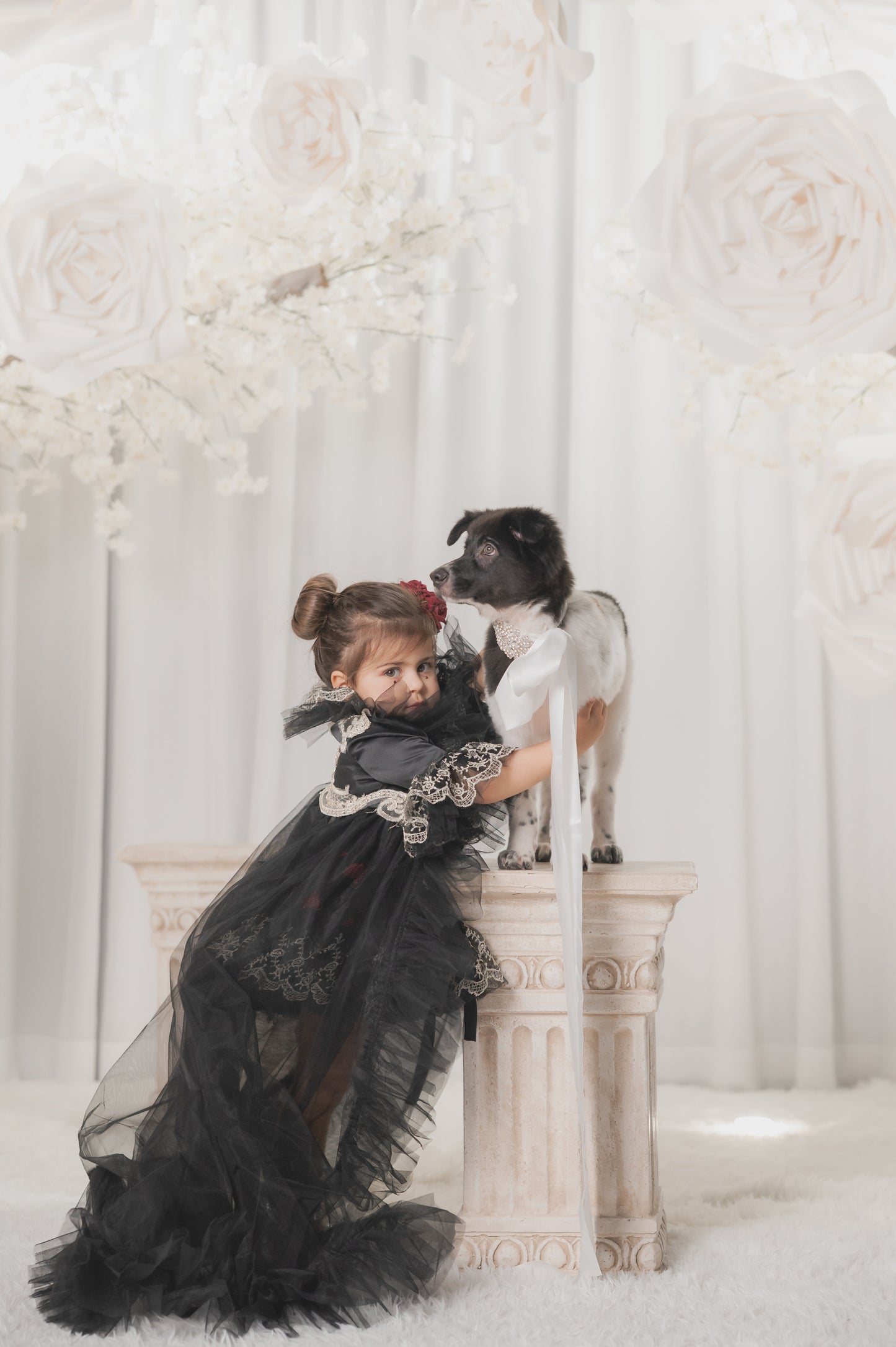 Queen of Hearts Red & Black Lace Set (Dress & Coat)