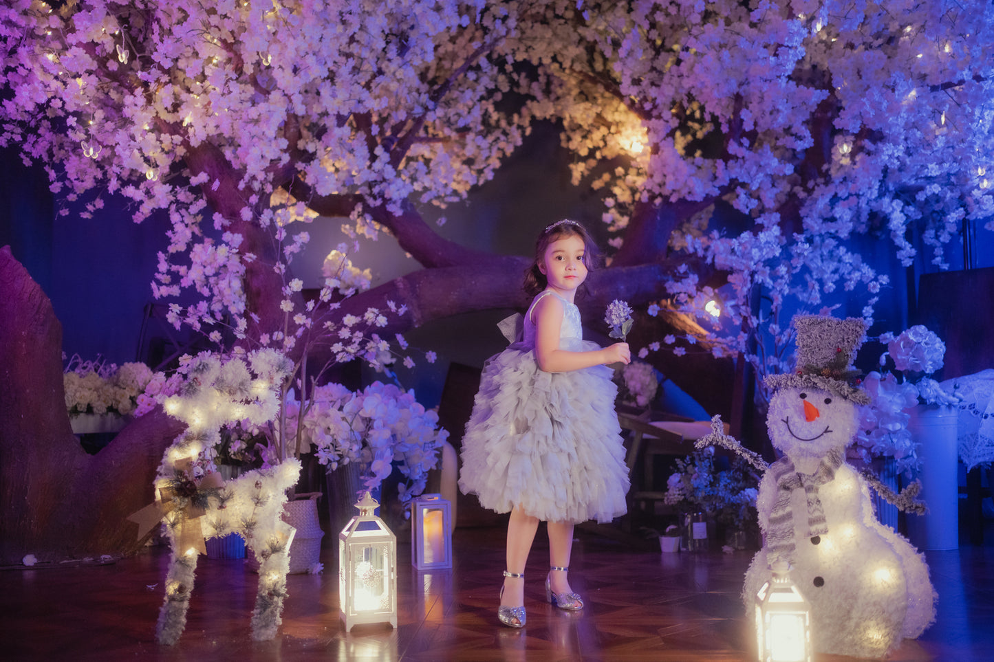 Gina Grey & Tulle Lace Gown