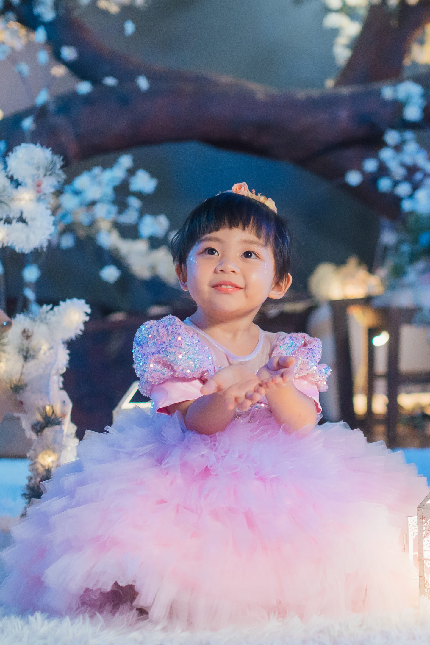 White Sugar Plum Fairy Ombre Tulle Dress