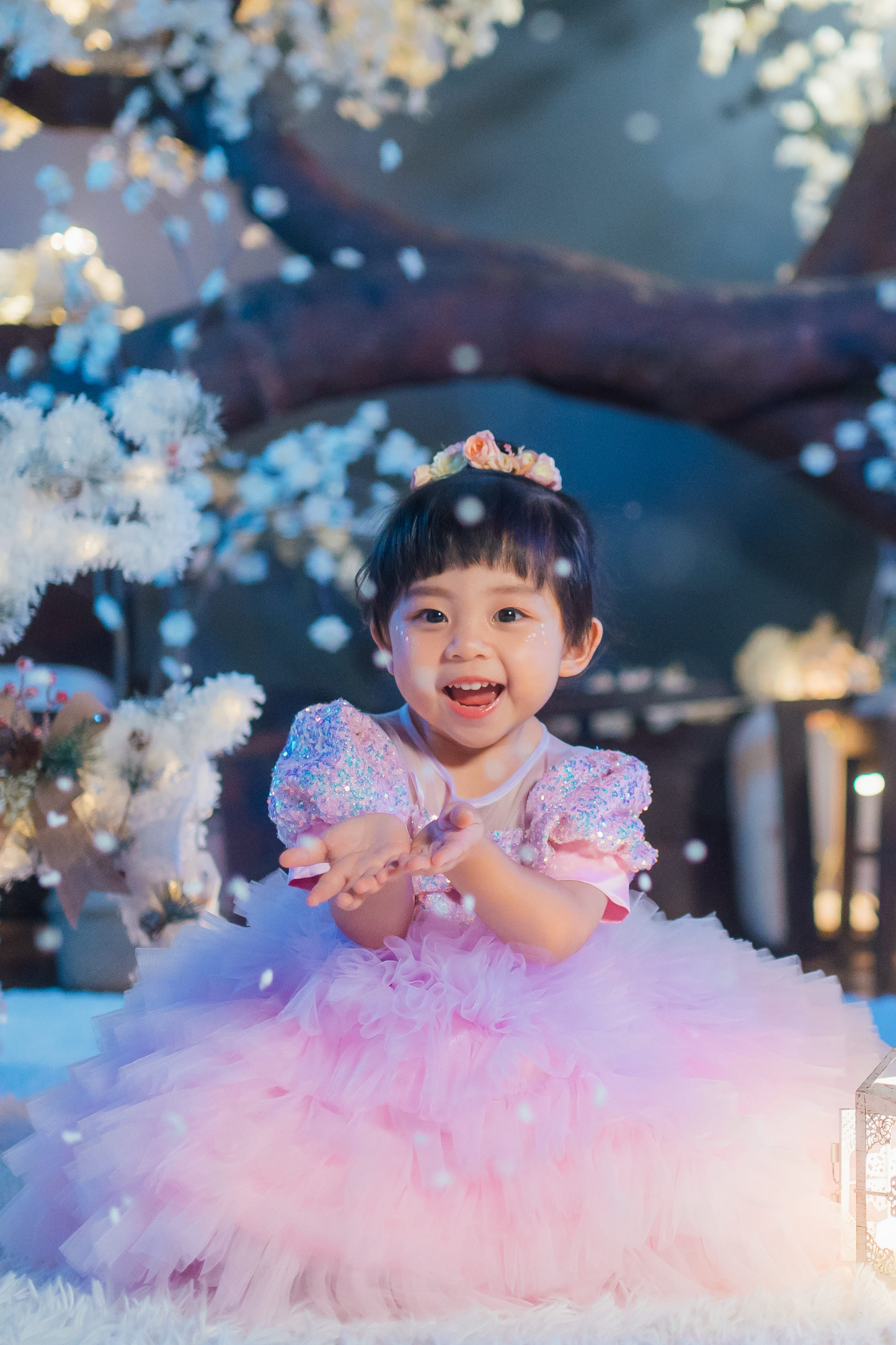 Lilac & Pink Sugar Plum Fairy Ombre Tulle Dress