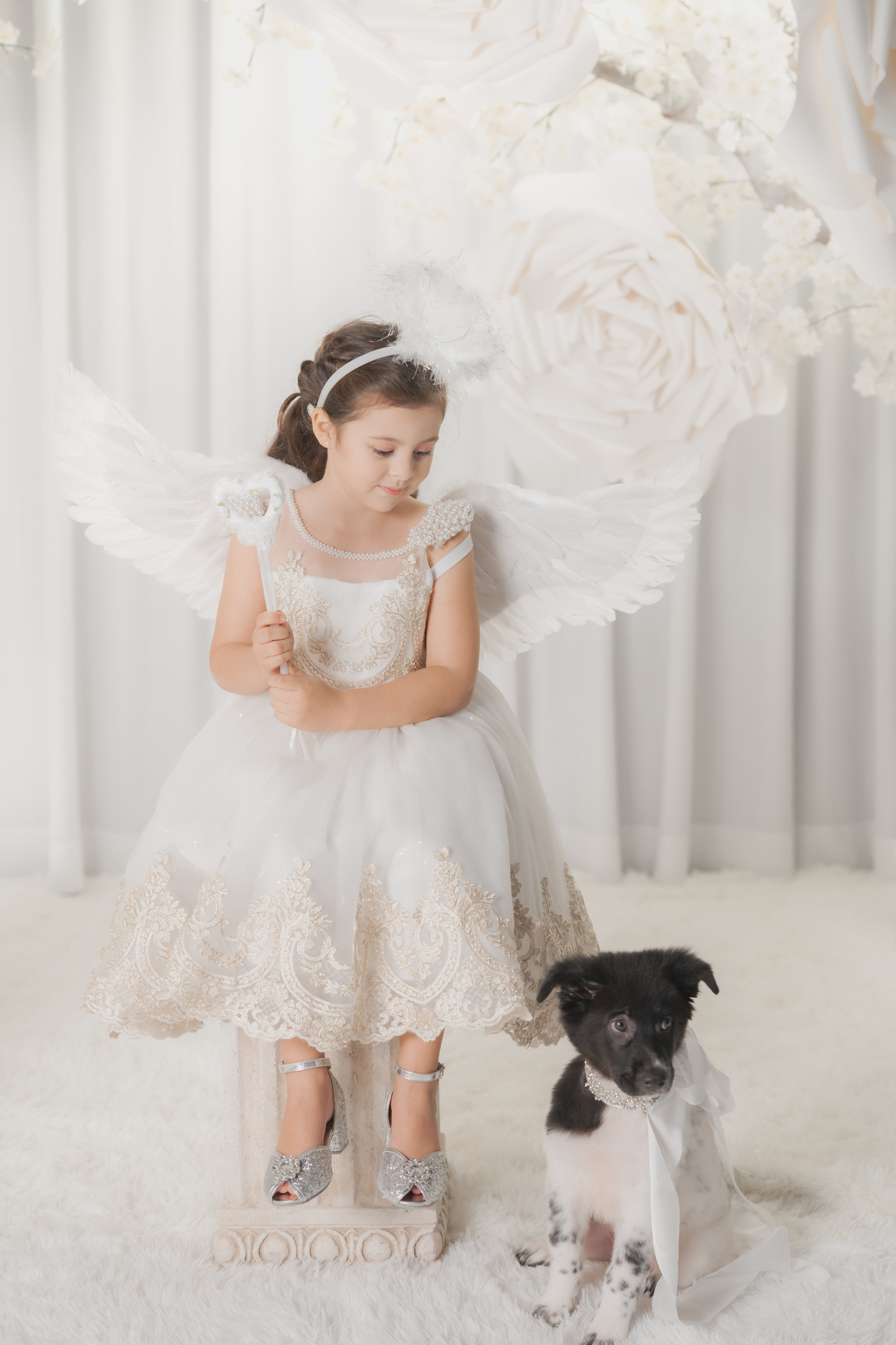Black Swan - Black & Silver Lace Dress