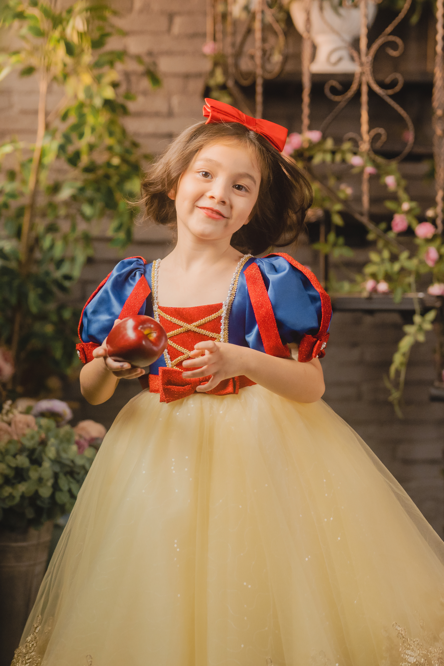 Snow White Blue, Red & Yellow Gown