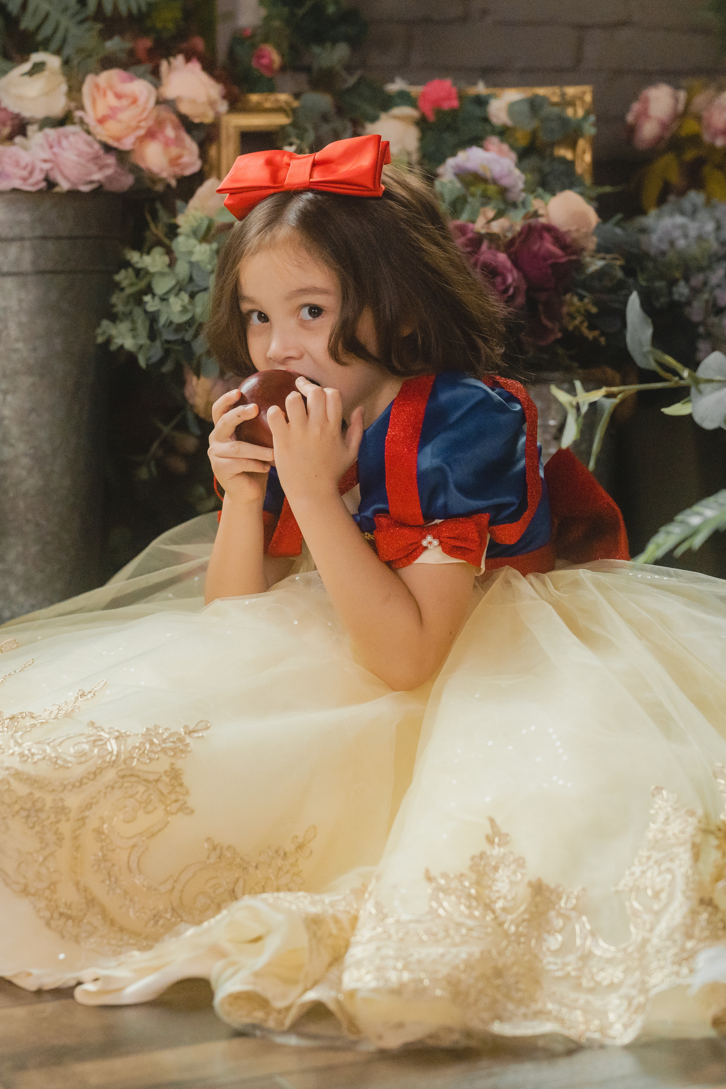 Snow White Blue, Red & Yellow Gown