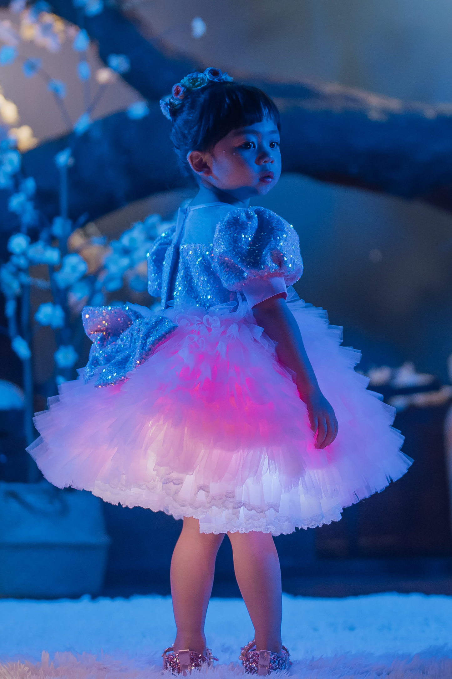 Lilac & Pink Sugar Plum Fairy Ombre Tulle Dress