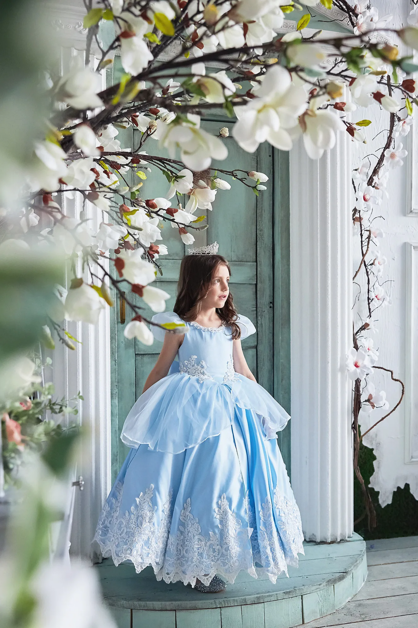 Cinderella Blue Satin Gown