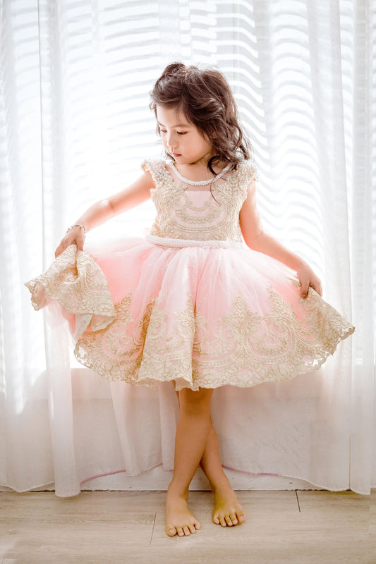 Pink Swan Rococo Gold Lace Dress